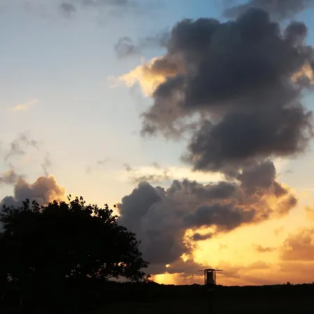 Lejlighed Haus Stoertebeker Letj Gus *