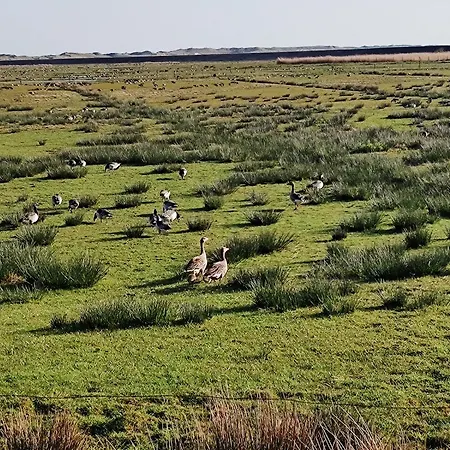 Lejlighed Haus Stoertebeker Letj Gus *